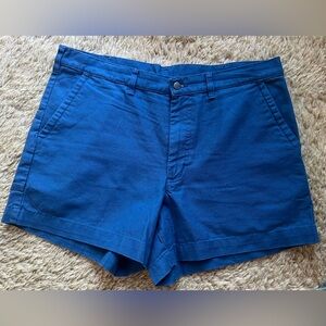 Men’s Patagonia, Blue Stand Up Shorts, 5” Inseam, Size 38